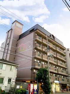 IVY FLATの画像