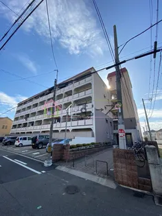 シャトーアストリア【3階】の外観