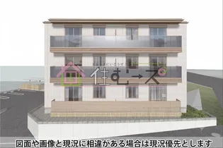 オースター カレンデュラの画像