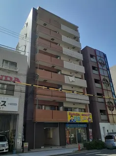 ブリッサフェリスの画像