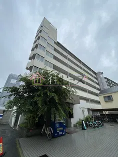 白樺ハイツ城東の画像