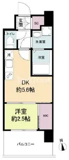 セレニテ福島プリエ【6階】の間取り