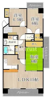 パードレ関目【10階】の間取り