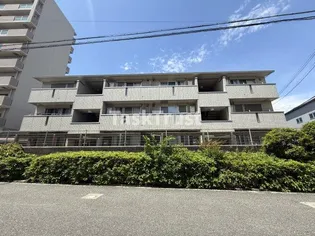 プロスペリタの画像