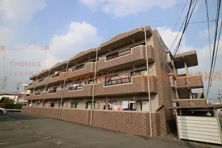 エバーグリーン角園の画像