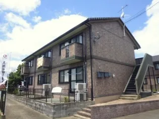 ヒメコスムの画像