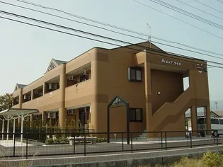 ピュアライズの画像