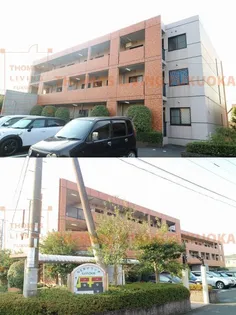 NEWマリッチGONDOUの画像