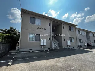 ジュピターSの画像