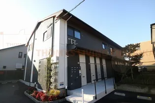 プルメリアの画像