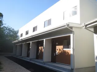 メゾン新鳥栖Cの画像