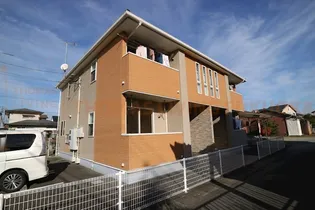 PLACIDEの画像