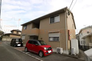 シャンクスの画像