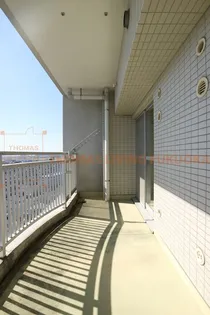 コンダクトレジデンス鳥栖【1312号室】の内装