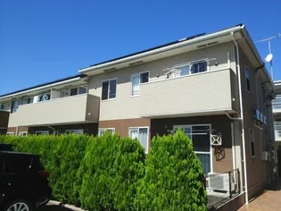 きらら七夕の画像