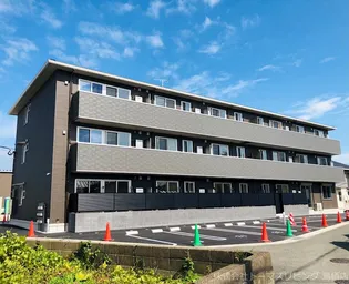 グレイスペアランスの画像