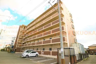 エルモソ ピソの画像