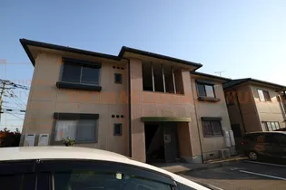 バリュージュシオンの画像