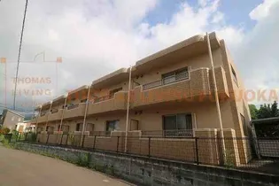 beauterraceステラ【2階】の外観