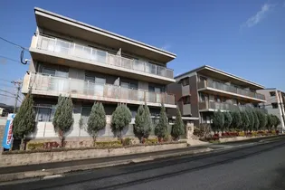 ステラ蔵上の画像