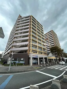 東峰マンション弥生が丘ペサージュS棟の画像