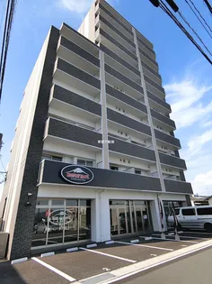 アンジェラの画像