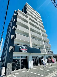 アンジェラの画像