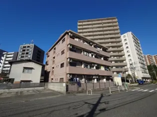 シティハイム愛宕【2階】の外観