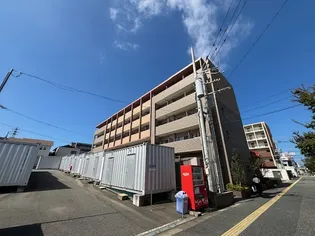 スペランツァの画像