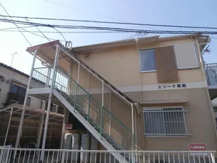 エリーナ鳥飼の画像