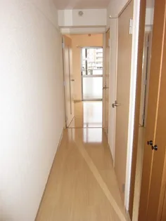 エレガントヴェルス【3階】の玄関