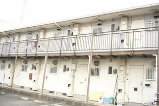 セリーヌ7の画像
