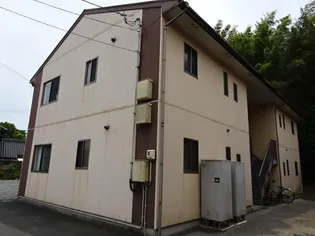 コスモス ヤエAの画像