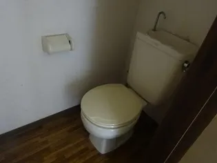 セリーヌ7【205号室】の内装