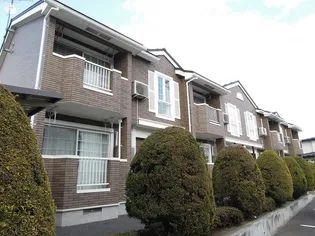 ローバストブリッジの画像