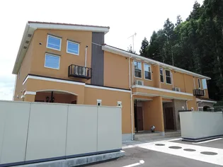 ヴァンヴェールの画像