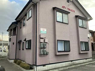 メジーフローレンスDの画像