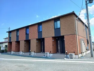 プラシードの画像