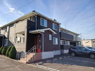 テトネロAの画像