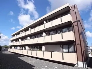 ハイカムールST秀の画像