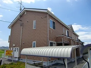 スクエアコートの画像