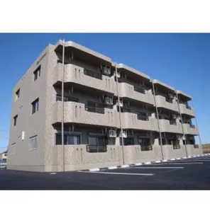 Y&Mメヌエットの画像