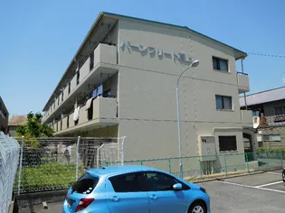 バーンフリート真上の画像