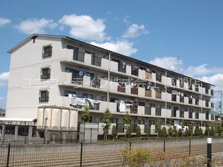 レントリッヒの画像