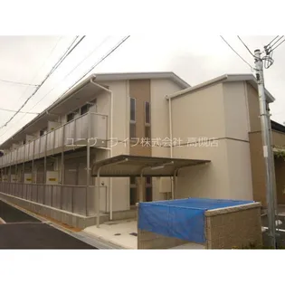 ニューアムールクラニアの画像