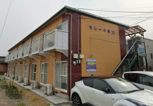 セレーネハイム第26【2階】の外観