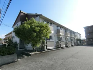 パルティール Mの画像