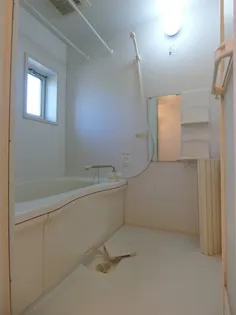 フェリーチェ A棟【1階】の風呂