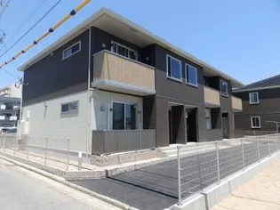 アイリスYの画像