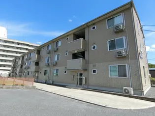 ヴィータ フェリーチェの画像